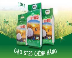 GẠO ST25 GENTE FOOD TÚI 5KG