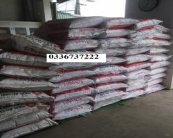 Cám Cá koi Việt mua ở đâuu miễn ship