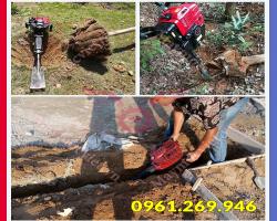 Máy bứng cây Sumo 680 đa chức năng