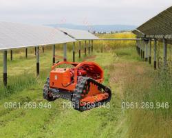 Máy cắt cỏ tự hành - Robot cắt cỏ tự hành điều khiển...