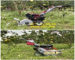 Nơi bán máy cắt cỏ 4 thì giá rẻ nhất hiện nay